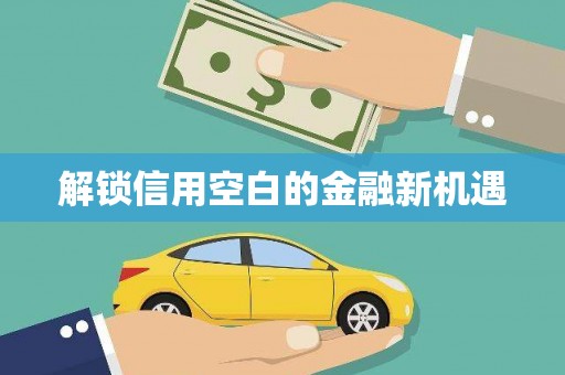云林解锁信用空白的金融新机遇