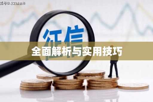 苓雅全面解析与实用技巧