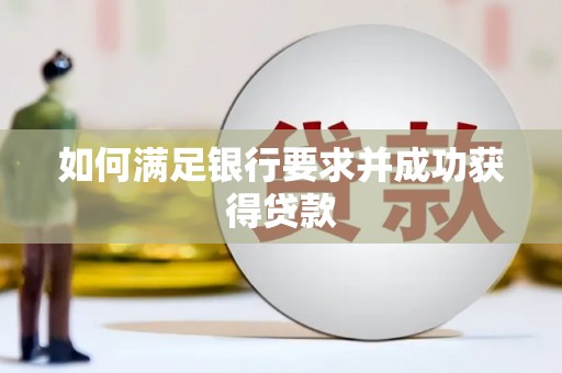 平南如何满足银行要求并成功获得贷款